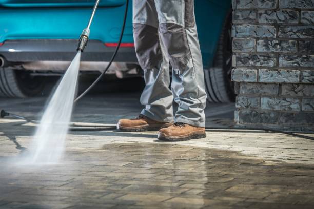 Best Building Exterior Washing  in San Pasqual, CA