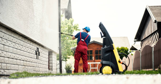 Best Driveway Pressure Washing  in San Pasqual, CA